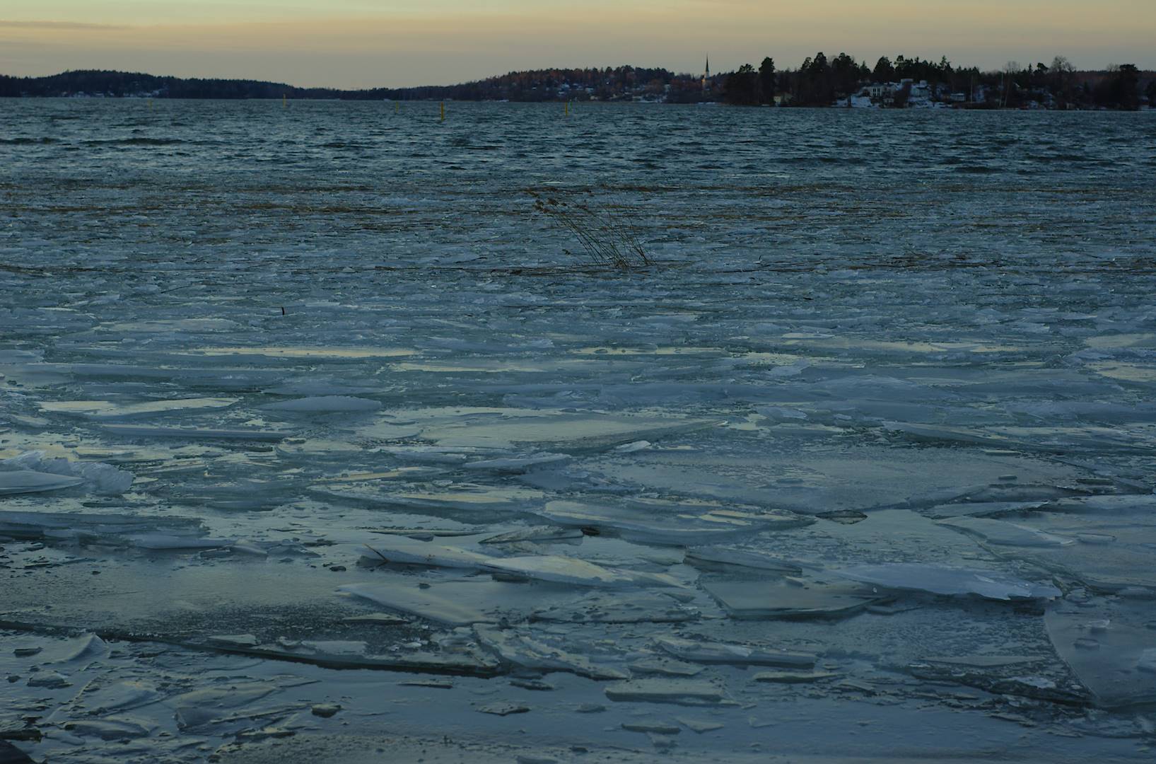 Is på Mälaren vid badplatsen vid Norsborgs herrgård med Ekerö i bakgrunden [foto: Henrik Hemrin]